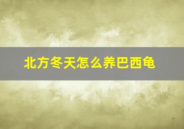 北方冬天怎么养巴西龟