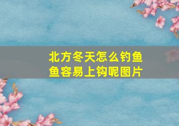 北方冬天怎么钓鱼鱼容易上钩呢图片