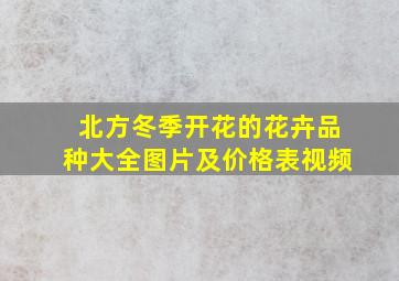 北方冬季开花的花卉品种大全图片及价格表视频