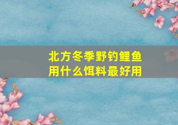 北方冬季野钓鲤鱼用什么饵料最好用