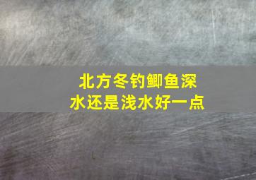 北方冬钓鲫鱼深水还是浅水好一点