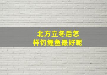 北方立冬后怎样钓鲤鱼最好呢