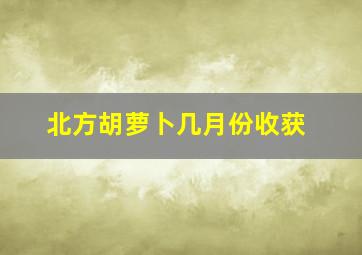 北方胡萝卜几月份收获