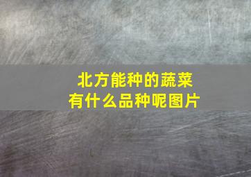 北方能种的蔬菜有什么品种呢图片