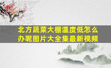 北方蔬菜大棚温度低怎么办呢图片大全集最新视频