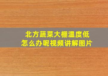 北方蔬菜大棚温度低怎么办呢视频讲解图片