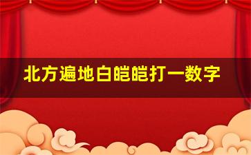 北方遍地白皑皑打一数字