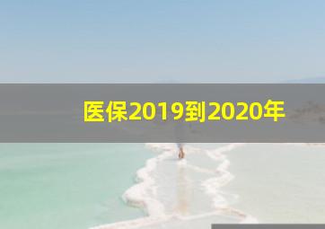 医保2019到2020年