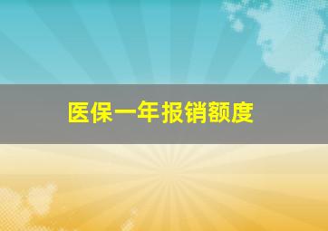 医保一年报销额度