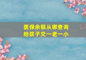 医保余额从哪查询给孩子交一老一小