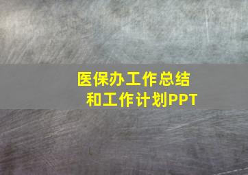 医保办工作总结和工作计划PPT