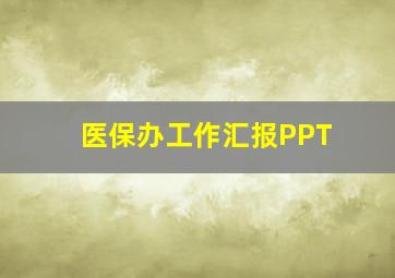 医保办工作汇报PPT