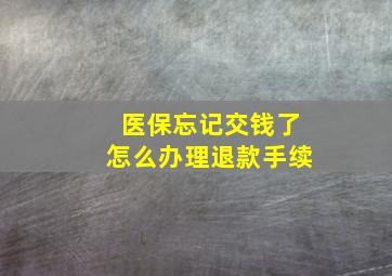 医保忘记交钱了怎么办理退款手续