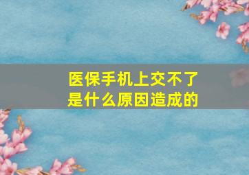 医保手机上交不了是什么原因造成的