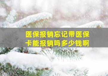 医保报销忘记带医保卡能报销吗多少钱啊