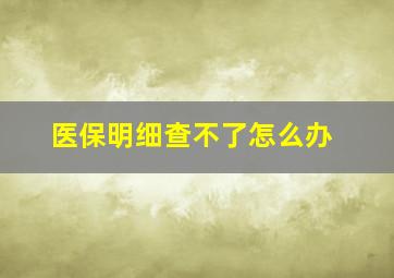 医保明细查不了怎么办