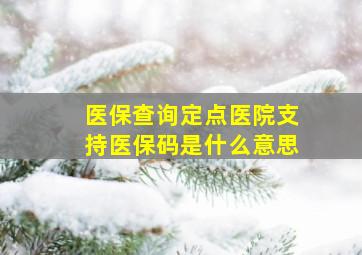 医保查询定点医院支持医保码是什么意思