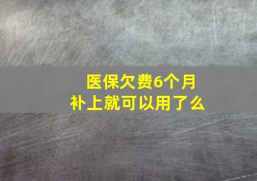 医保欠费6个月补上就可以用了么