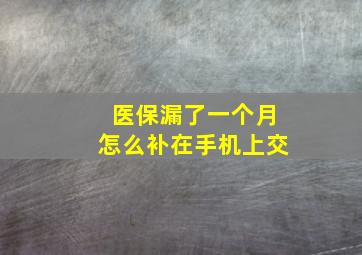 医保漏了一个月怎么补在手机上交