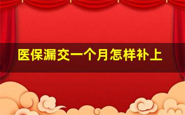 医保漏交一个月怎样补上