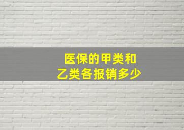 医保的甲类和乙类各报销多少