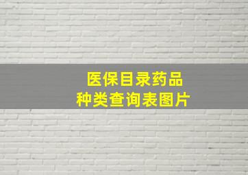 医保目录药品种类查询表图片