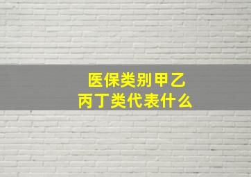 医保类别甲乙丙丁类代表什么