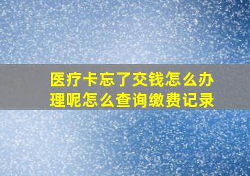 医疗卡忘了交钱怎么办理呢怎么查询缴费记录