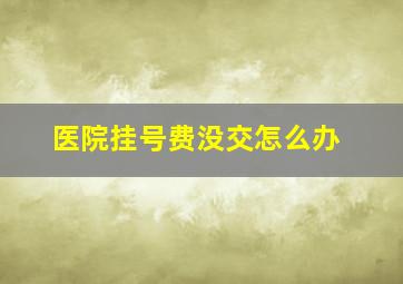 医院挂号费没交怎么办