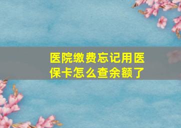 医院缴费忘记用医保卡怎么查余额了