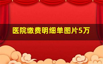 医院缴费明细单图片5万