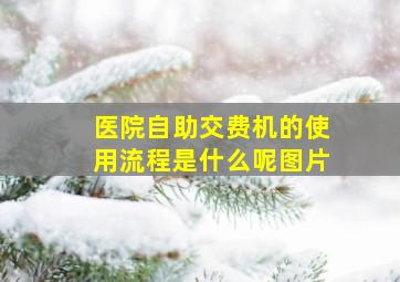 医院自助交费机的使用流程是什么呢图片