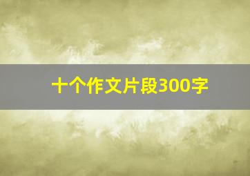 十个作文片段300字