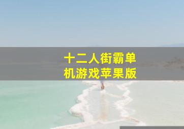 十二人街霸单机游戏苹果版