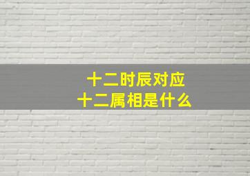 十二时辰对应十二属相是什么