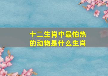 十二生肖中最怕热的动物是什么生肖