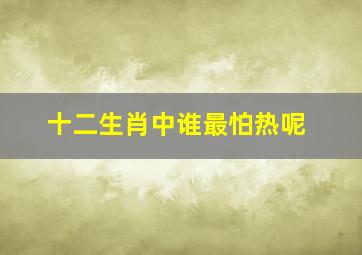 十二生肖中谁最怕热呢