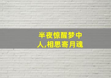 半夜惊醒梦中人,相思寄月魂