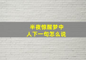 半夜惊醒梦中人下一句怎么说