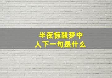 半夜惊醒梦中人下一句是什么