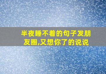 半夜睡不着的句子发朋友圈,又想你了的说说