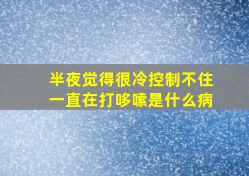 半夜觉得很冷控制不住一直在打哆嗦是什么病