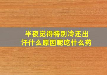 半夜觉得特别冷还出汗什么原因呢吃什么药