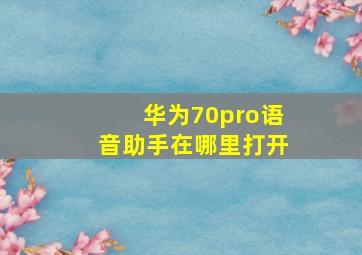 华为70pro语音助手在哪里打开