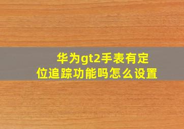 华为gt2手表有定位追踪功能吗怎么设置