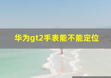 华为gt2手表能不能定位