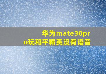 华为mate30pro玩和平精英没有语音