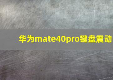 华为mate40pro键盘震动