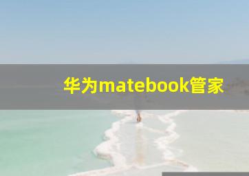 华为matebook管家