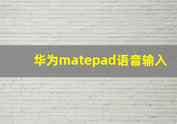 华为matepad语音输入